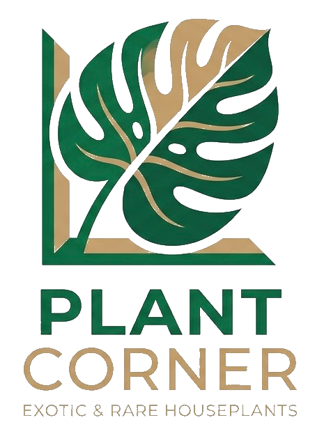 Plant Corner